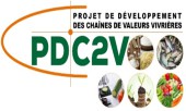 PDC2V